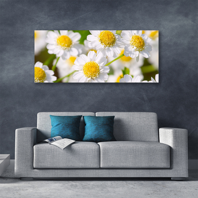 Quadro em tela Flores Margarida Natureza