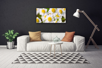 Quadro em tela Flores Margarida Natureza