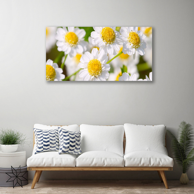 Quadro em tela Flores Margarida Natureza