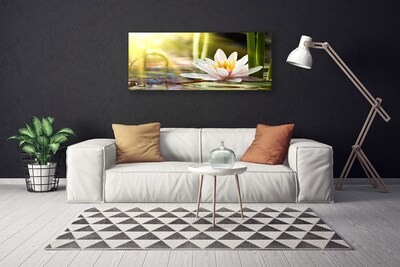 Quadro canvas Flor de lírio d'água