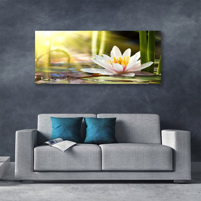 Quadro canvas Flor de lírio d'água