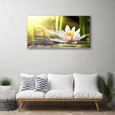 Quadro canvas Flor de lírio d'água