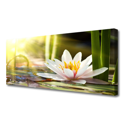 Quadro canvas Flor de lírio d'água