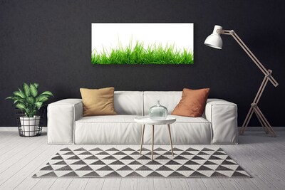 Quadro canvas Grama Natureza Planta