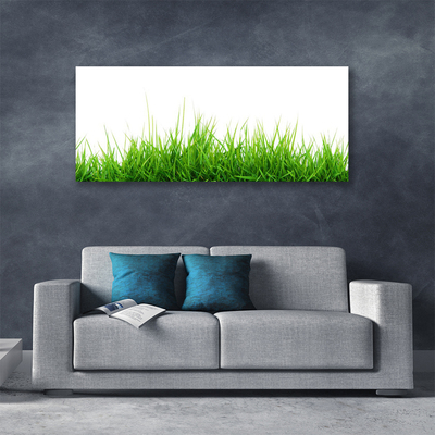 Quadro canvas Grama Natureza Planta