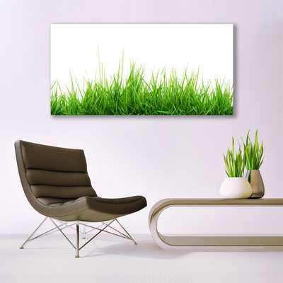 Quadro canvas Grama Natureza Planta
