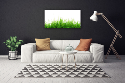 Quadro canvas Grama Natureza Planta
