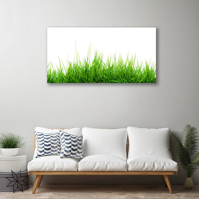 Quadro canvas Grama Natureza Planta