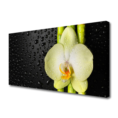 Quadro em tela Flores de bambu Orquídea