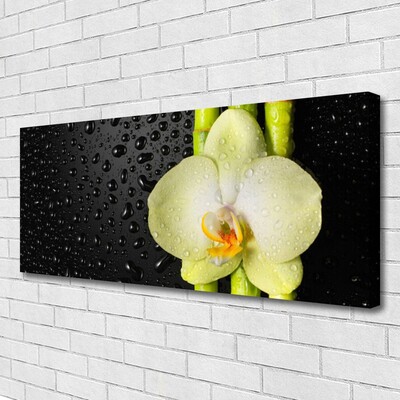 Quadro em tela Flores de bambu Orquídea