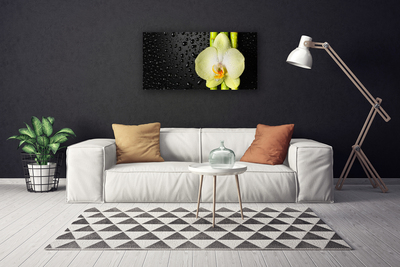 Quadro em tela Flores de bambu Orquídea