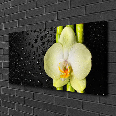 Quadro em tela Flores de bambu Orquídea