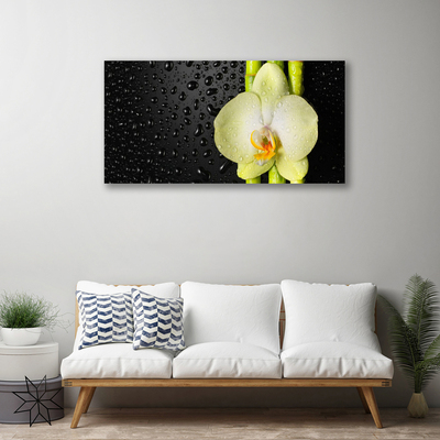 Quadro em tela Flores de bambu Orquídea