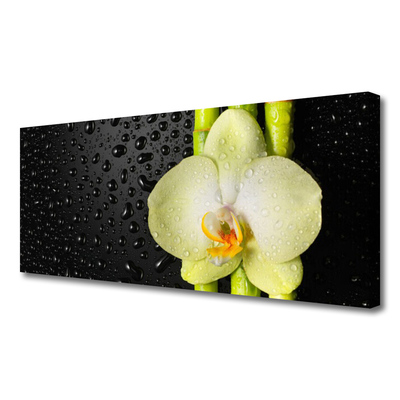 Quadro em tela Flores de bambu Orquídea