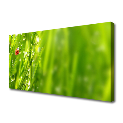 Quadro em tela Joaninha Natureza Grama