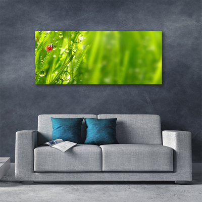 Quadro em tela Joaninha Natureza Grama