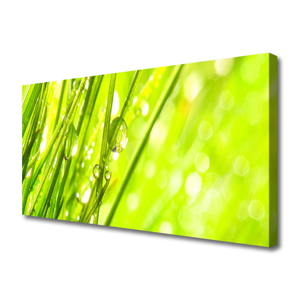 Quadro canvas A natureza deixa cair a grama