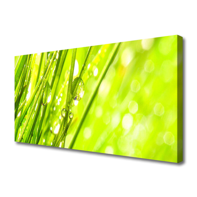 Quadro canvas A natureza deixa cair a grama