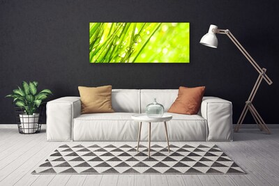 Quadro canvas A natureza deixa cair a grama