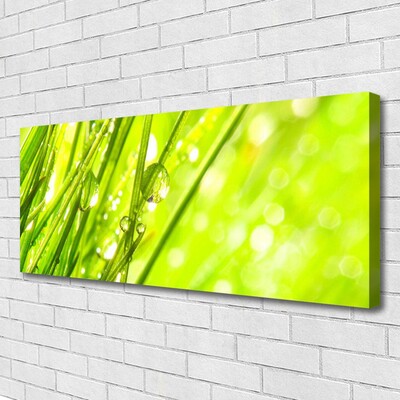 Quadro canvas A natureza deixa cair a grama