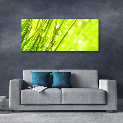 Quadro canvas A natureza deixa cair a grama