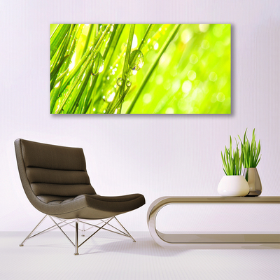 Quadro canvas A natureza deixa cair a grama