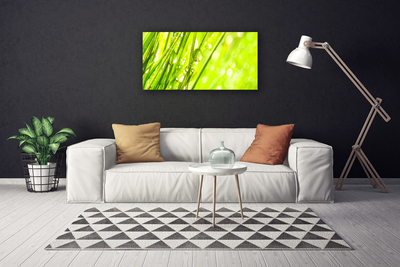 Quadro canvas A natureza deixa cair a grama