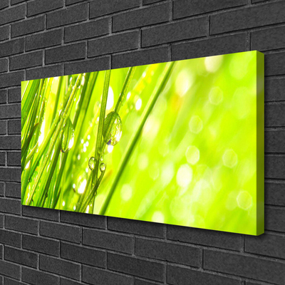 Quadro canvas A natureza deixa cair a grama