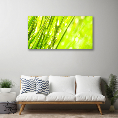 Quadro canvas A natureza deixa cair a grama