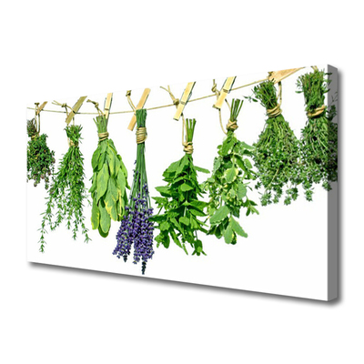 Quadro em tela Pétalas Flores Ervas