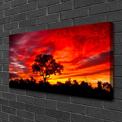 Quadro em tela Paisagem Florestal Natureza