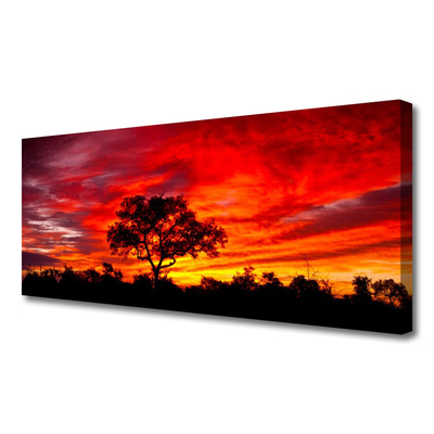 Quadro em tela Paisagem Florestal Natureza