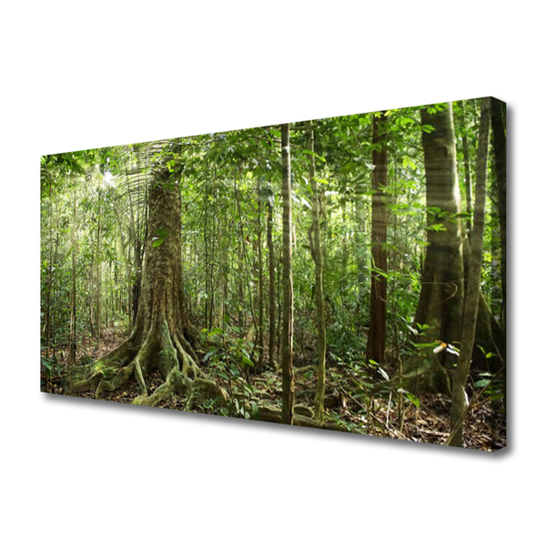 Quadro canvas Floresta Natureza Selva Árvores