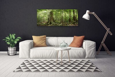 Quadro canvas Floresta Natureza Selva Árvores