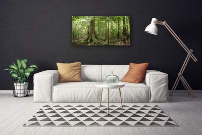 Quadro canvas Floresta Natureza Selva Árvores