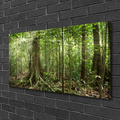 Quadro canvas Floresta Natureza Selva Árvores