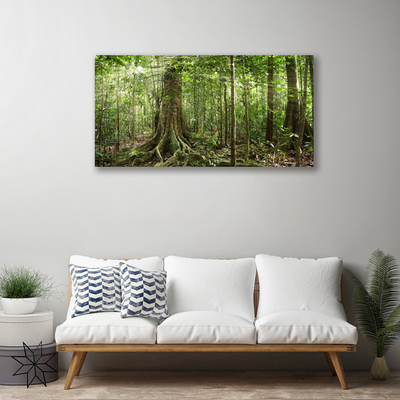 Quadro canvas Floresta Natureza Selva Árvores