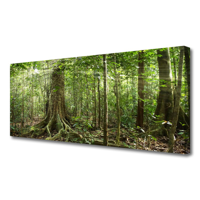 Quadro canvas Floresta Natureza Selva Árvores