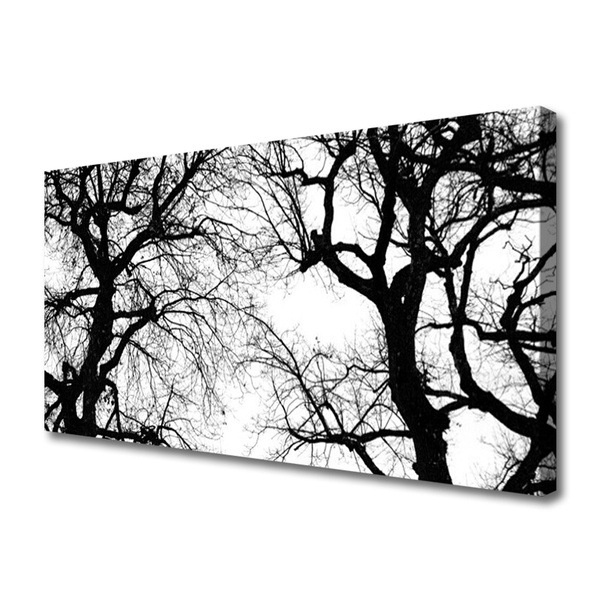 Quadro canvas Árvores Natureza Preto e Branco