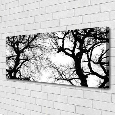 Quadro canvas Árvores Natureza Preto e Branco