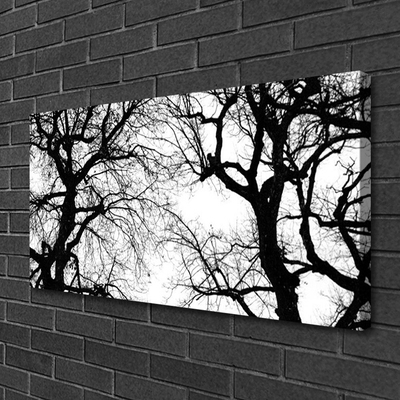 Quadro canvas Árvores Natureza Preto e Branco