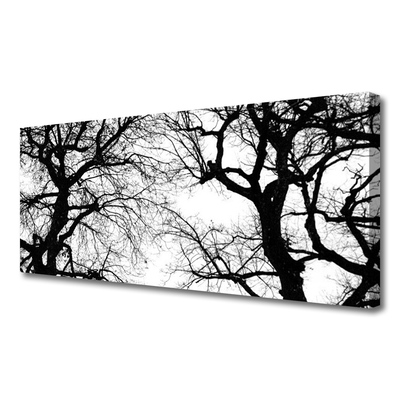 Quadro canvas Árvores Natureza Preto e Branco