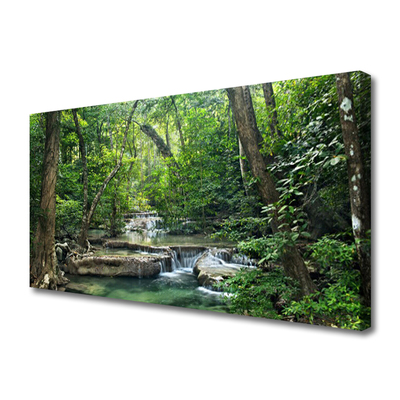Quadro canvas Floresta Floresta Natureza Natureza