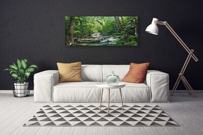 Quadro canvas Floresta Floresta Natureza Natureza