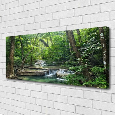 Quadro canvas Floresta Floresta Natureza Natureza