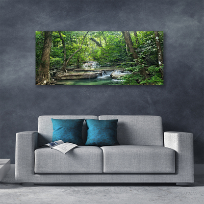 Quadro canvas Floresta Floresta Natureza Natureza