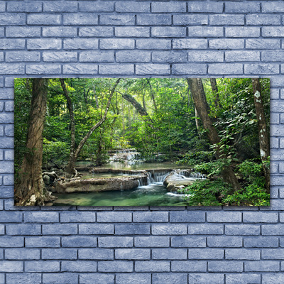 Quadro canvas Floresta Floresta Natureza Natureza