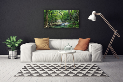 Quadro canvas Floresta Floresta Natureza Natureza