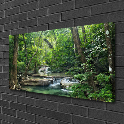 Quadro canvas Floresta Floresta Natureza Natureza