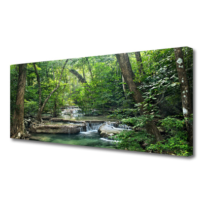 Quadro canvas Floresta Floresta Natureza Natureza